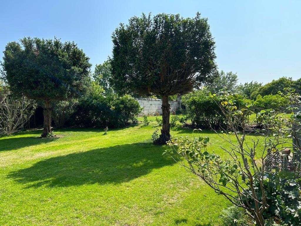 The Little Robin Bed & Breakfast Chevanceaux Dış mekan fotoğraf